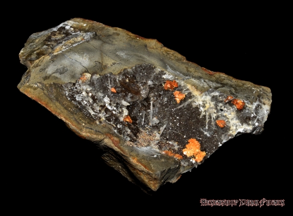 Hexenshop Dark Phönix Septarie Mirabeau Diamant Sisteron 154g Rohstein Halbedelstein